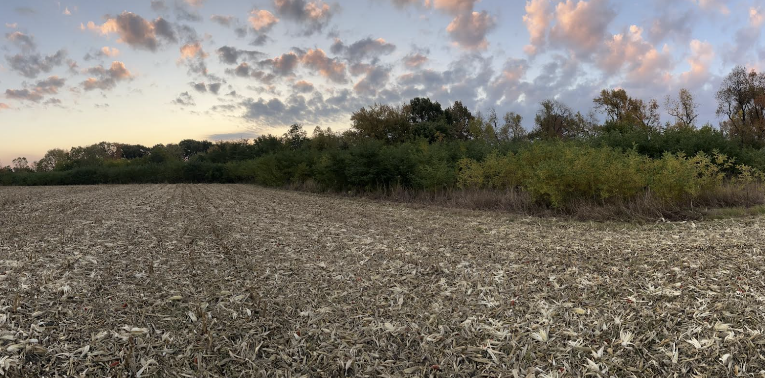 Excavation and land clearing services in Dixon, Illinois.