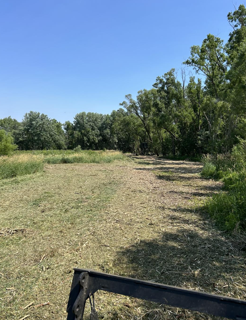 Forestry mulching services improving a property in Sterling, Illinois.