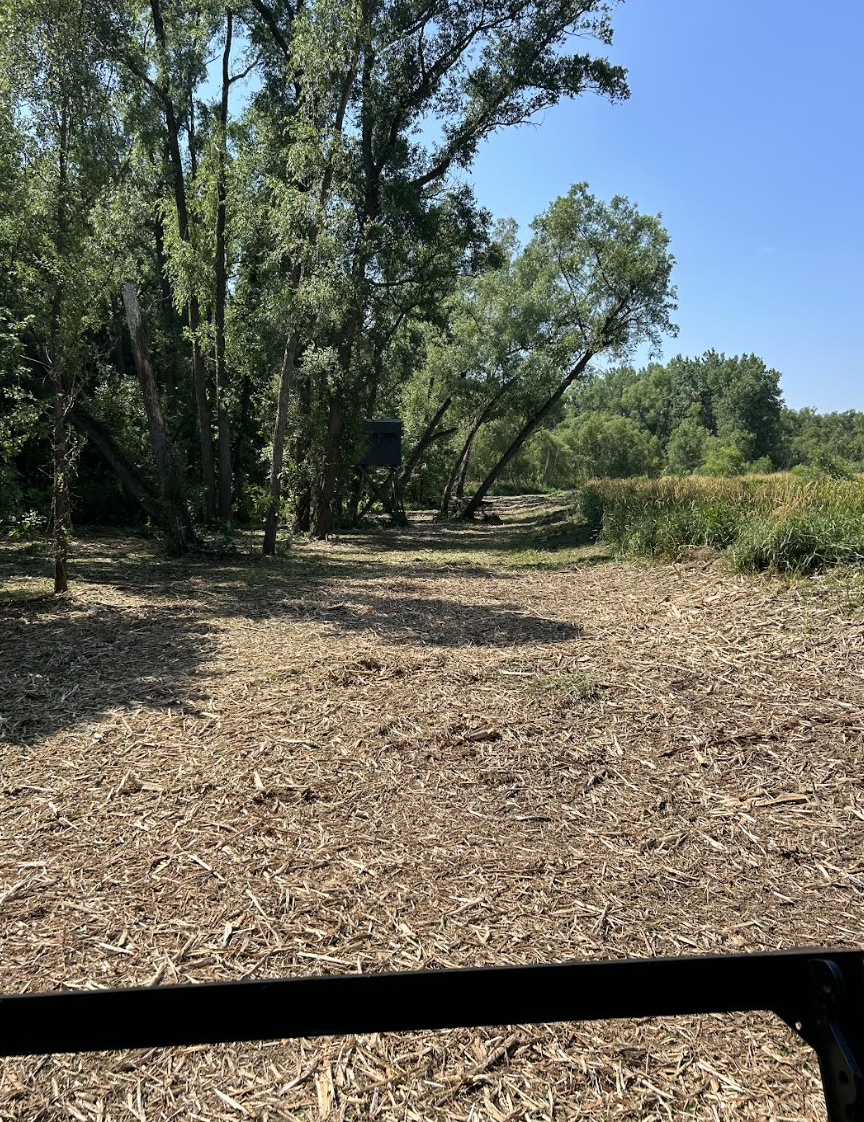 Professional forestry mulching completed in Princeton, Illinois.