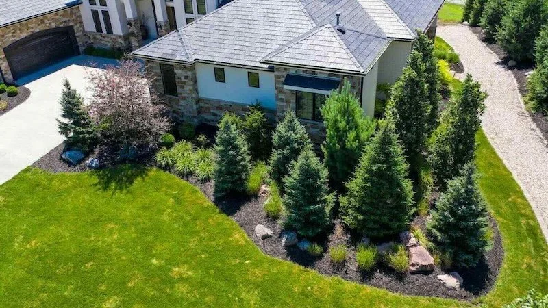 Healthy Landscape Program Trees.jpeg
