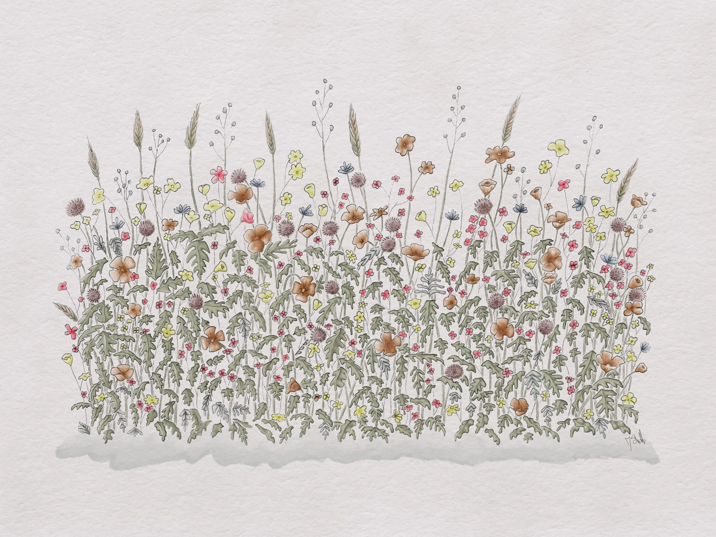 Wild Flower