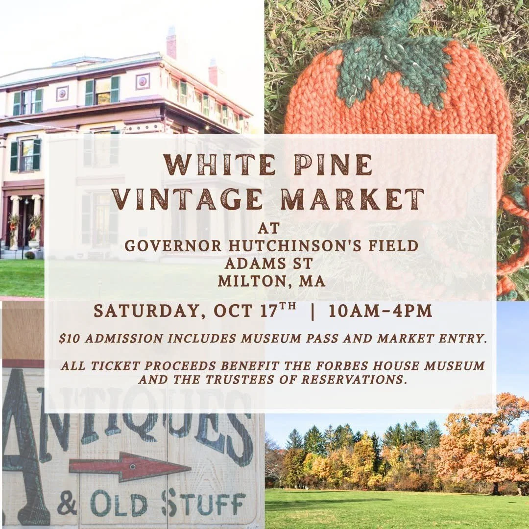 White pine vintage market