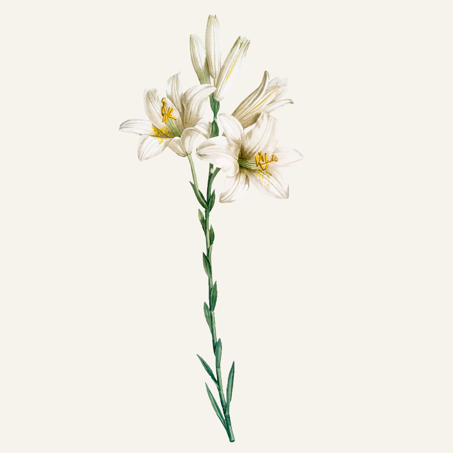 Flower Art (7).png