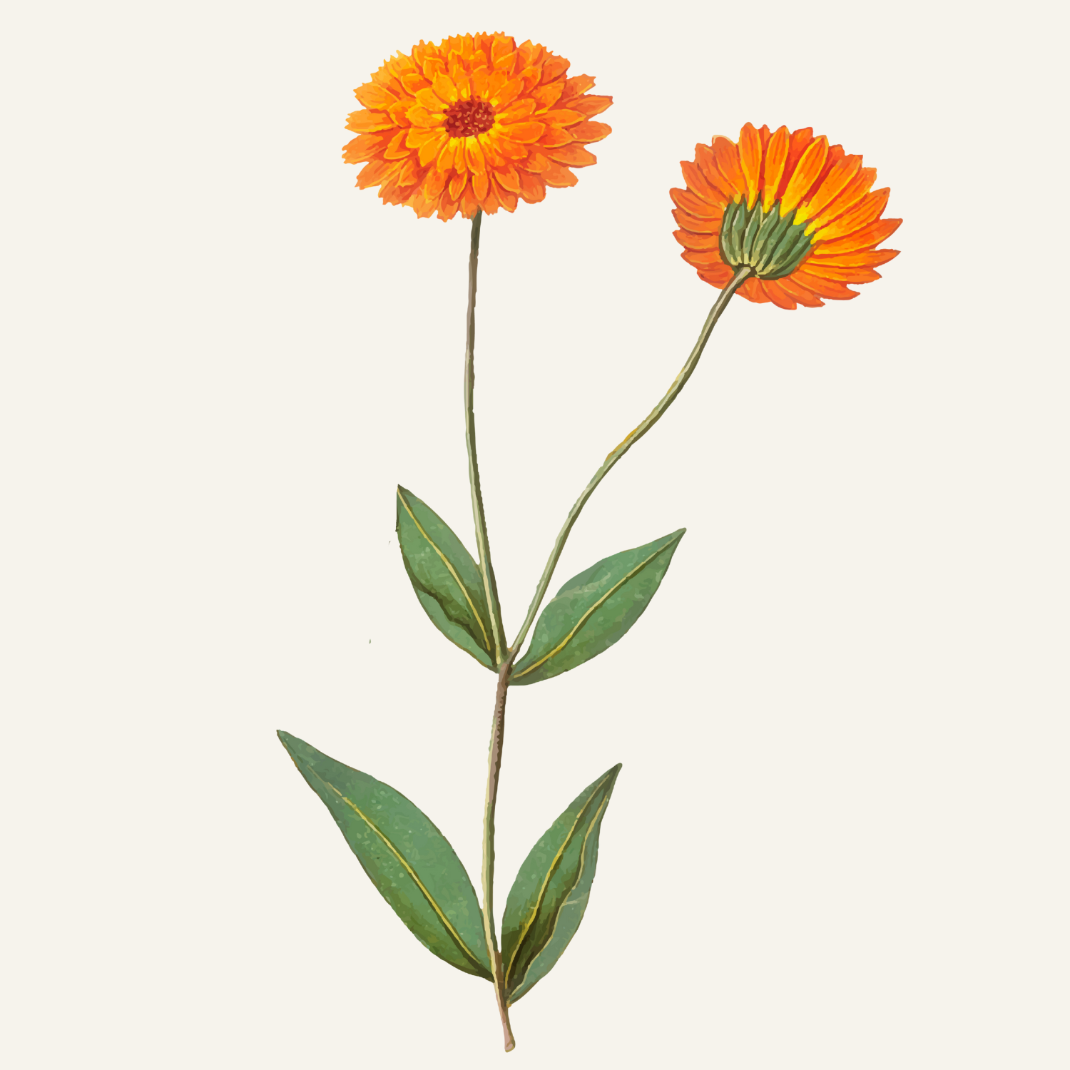 Flower Art (4).png