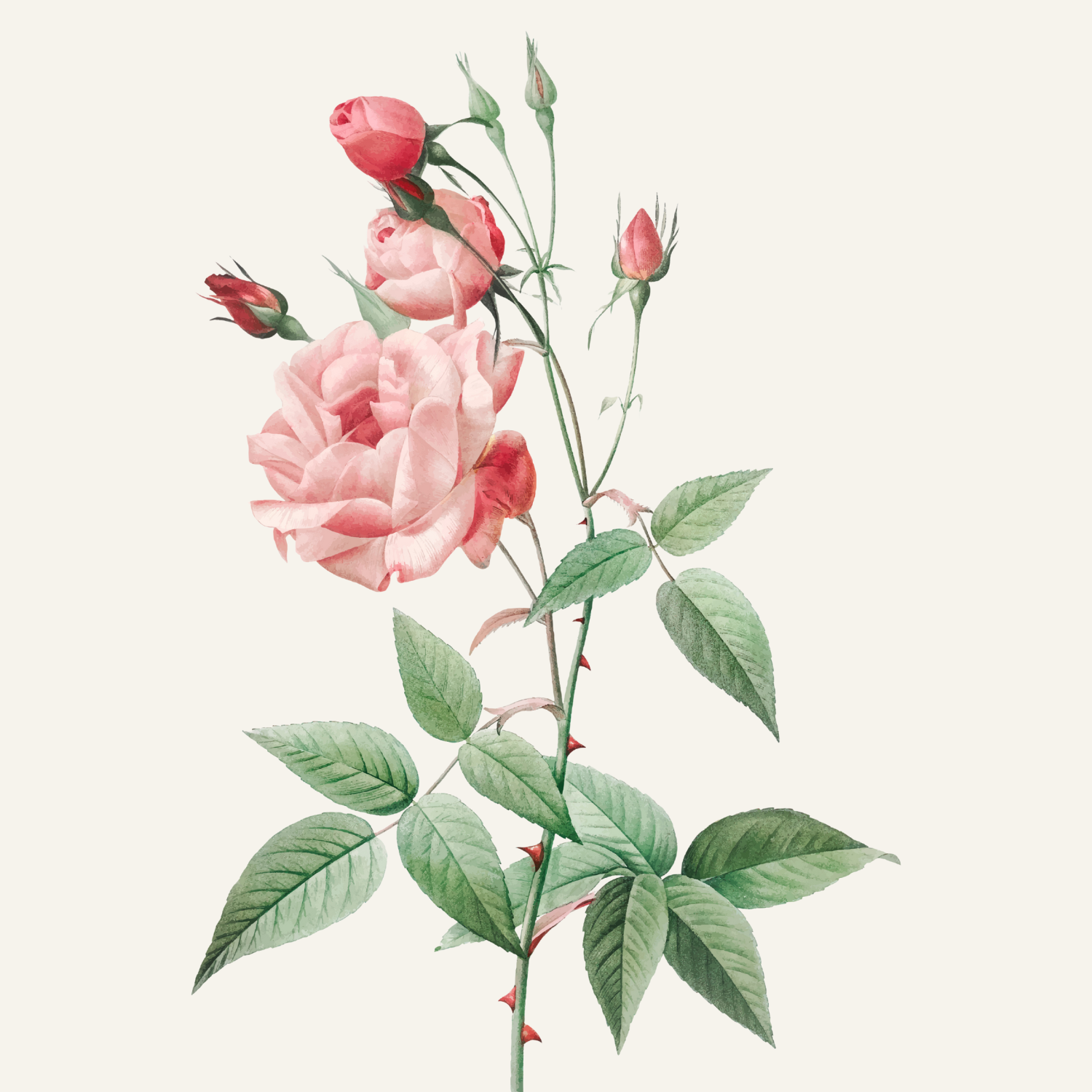 Flower Art (8).png