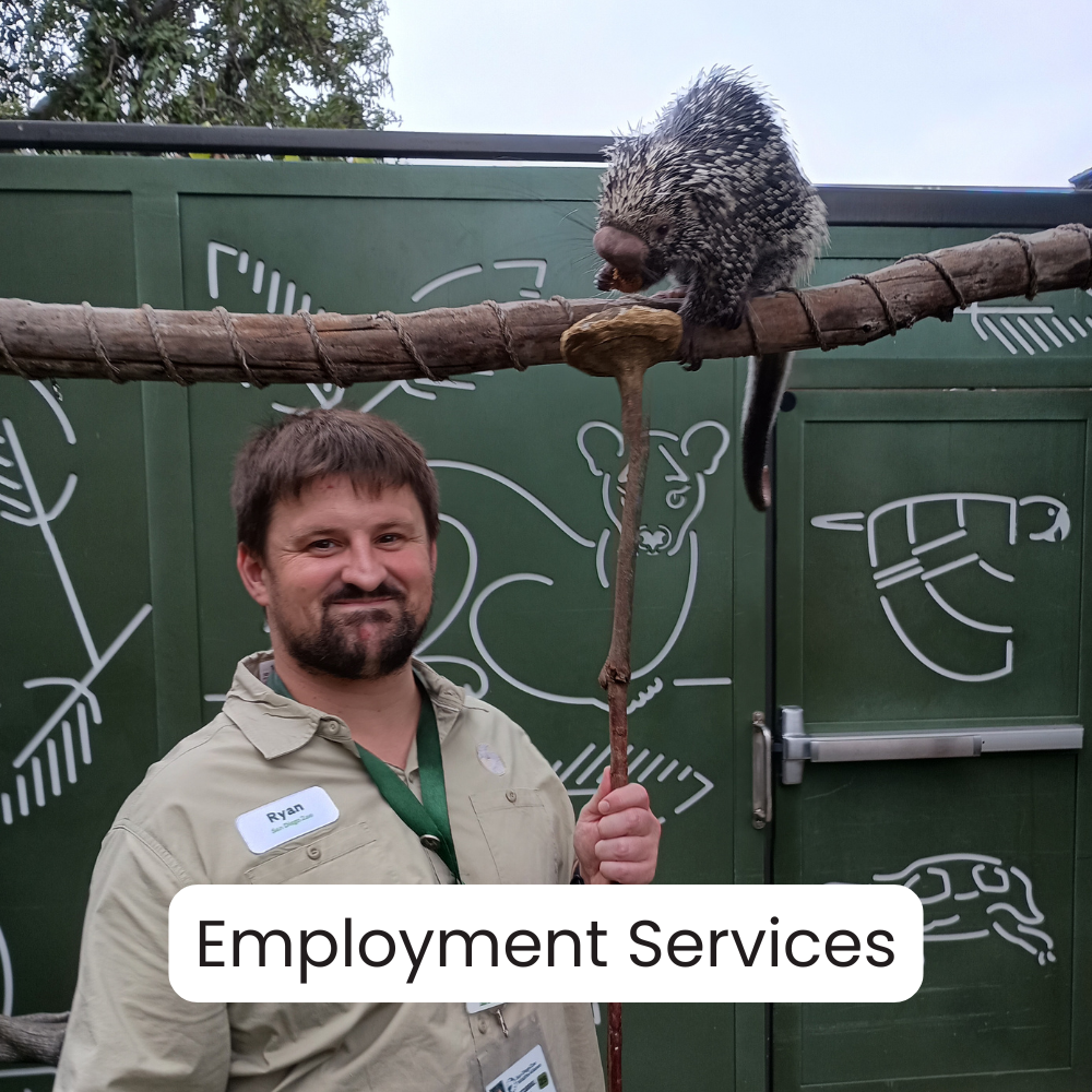 A man with a beard and short brown hair, wearing a tan uniform and a name tag that says Ryan, stands outdoors holding a stick with his right hand. He is smiling and looking at the camera. On the stick, there is a stuffed animal that looks like a porcupine. Behind them, there is a green enclosure with white outline drawings of various animals, including a mouse, a lizard, and a bird, and some trees. The enclosure has a door with a latch. The scene appears to be at a zoo or wildlife exhibit, with the label 'Employment Services' overlayed on the image.