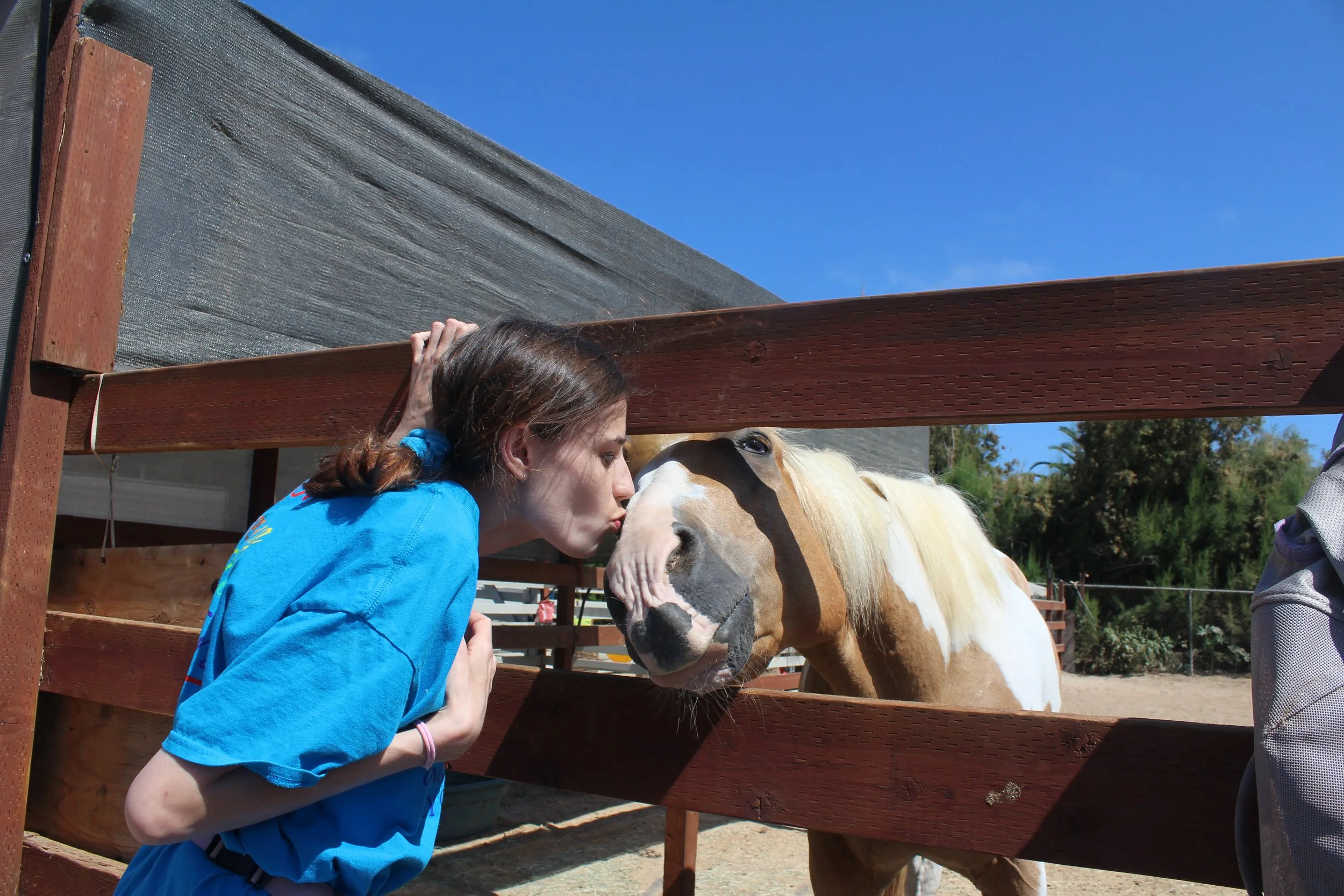 A client with brown hair tied in a braid, wearing a blue shirt, kissing a light brown and white horse through a wooden fence at an outdoor equestrian facility under a clear blue sky.