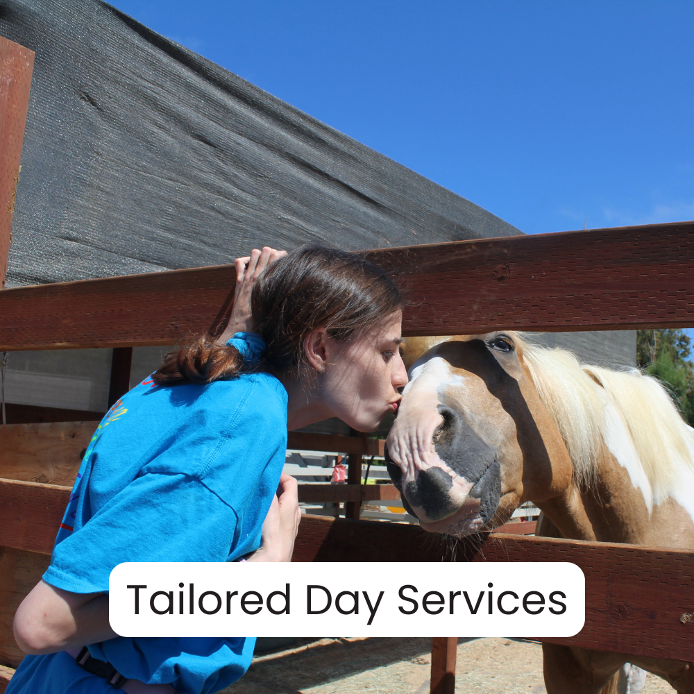 A woman in a blue shirt kisses a brown and white horse through a wooden fence at an outdoor farm or petting zoo with a clear blue sky.