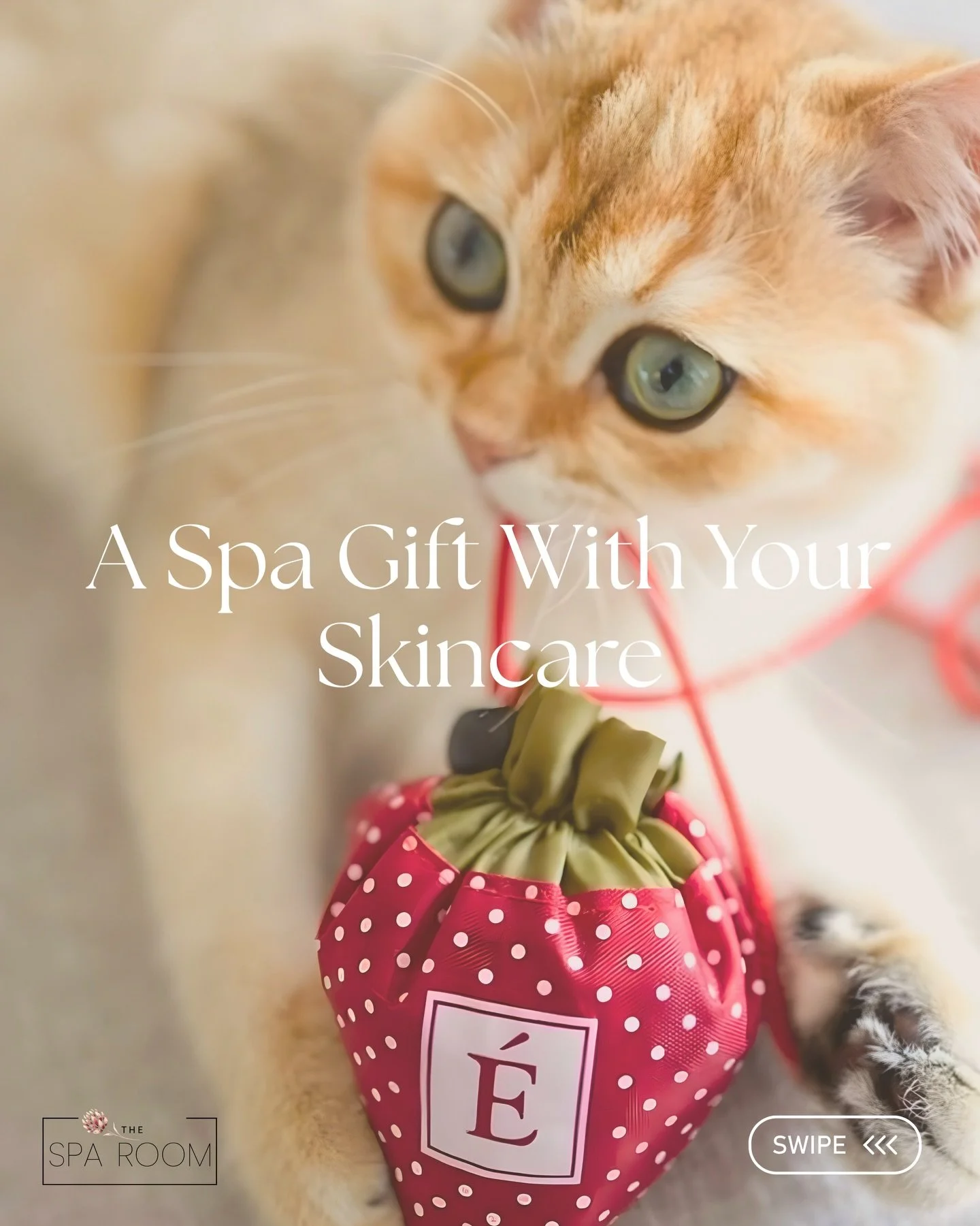 ✨ A little gift for your glow ✨

Treat your skin (and yourself) this month with something special 💚

Purchase any 2 full-size Eminence products and receive a FREE reusable shopping bag &ndash; the perfect little extra to spoil you 🛍️

Because skinc