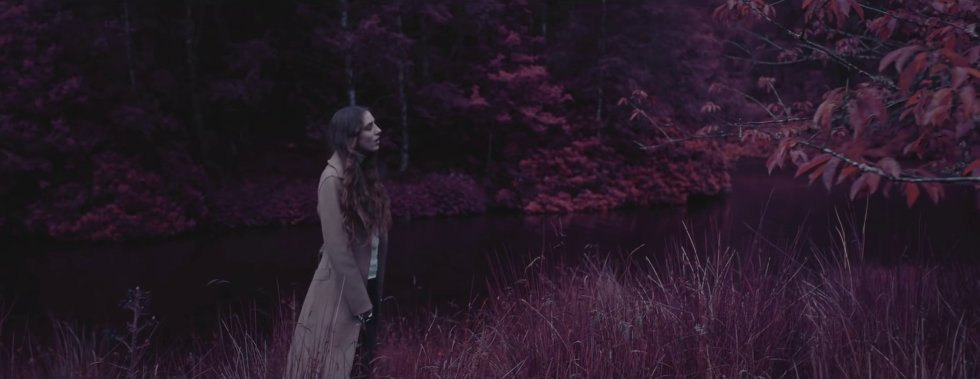 vlcsnap-2025-07-01-16h27m49s504.png