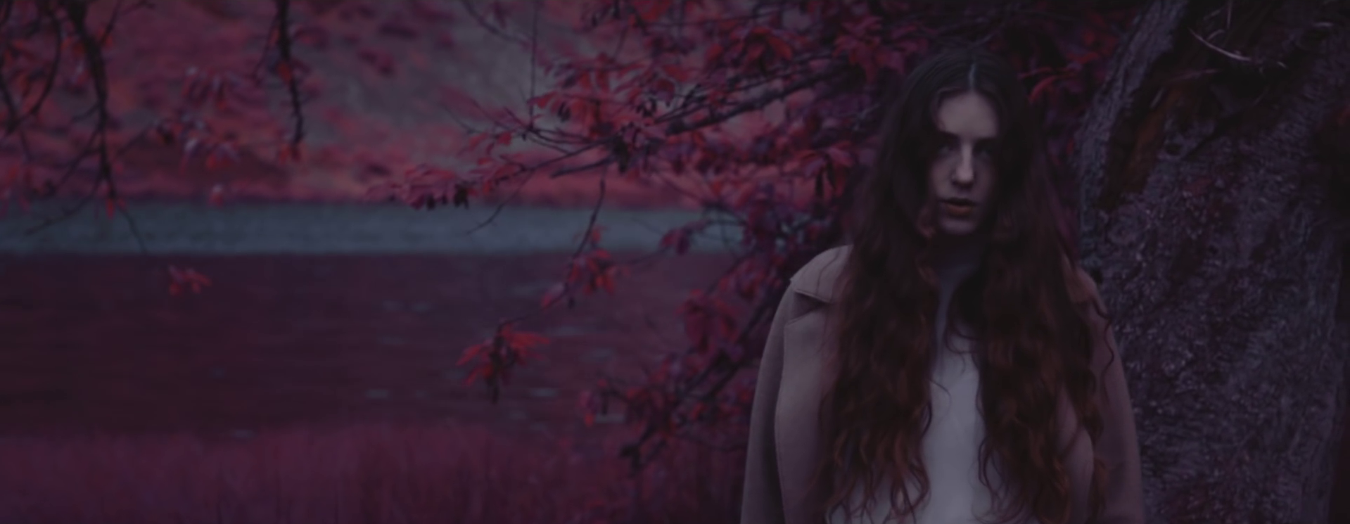 vlcsnap-2025-07-01-16h27m28s978.png