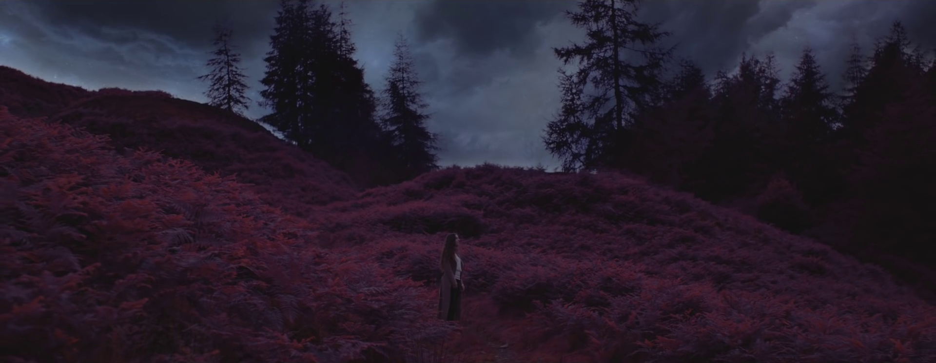 vlcsnap-2025-07-01-16h27m15s661.png
