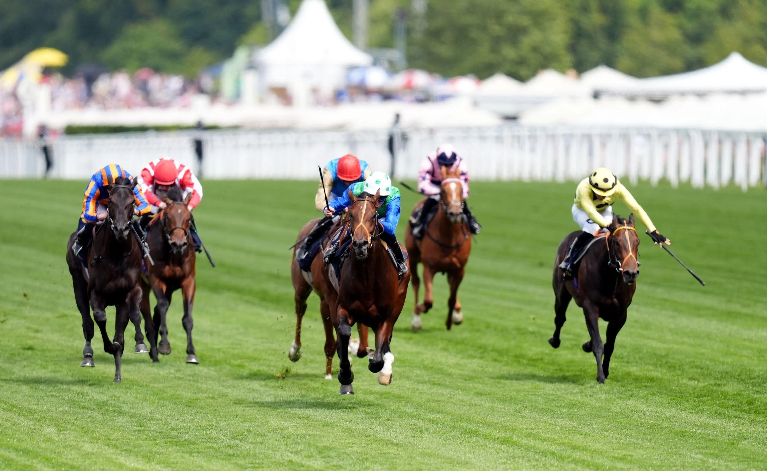 2024 – A Year of Milestones and Memories 