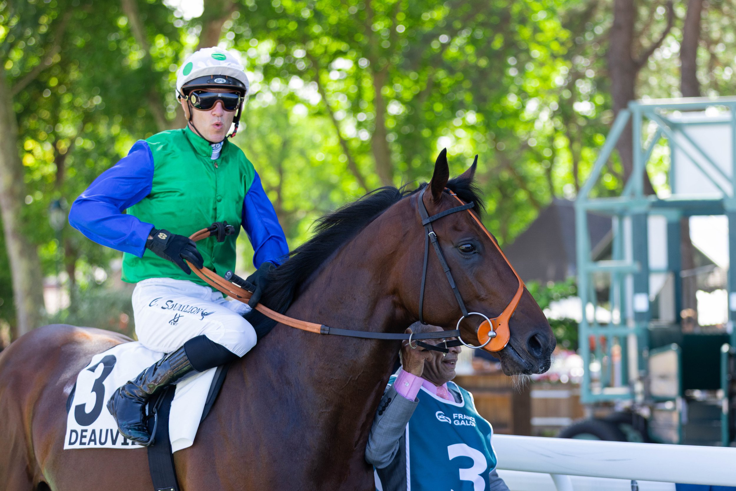 Coventry Stakes Hero Rashabar Retires to Begin Stallion Career