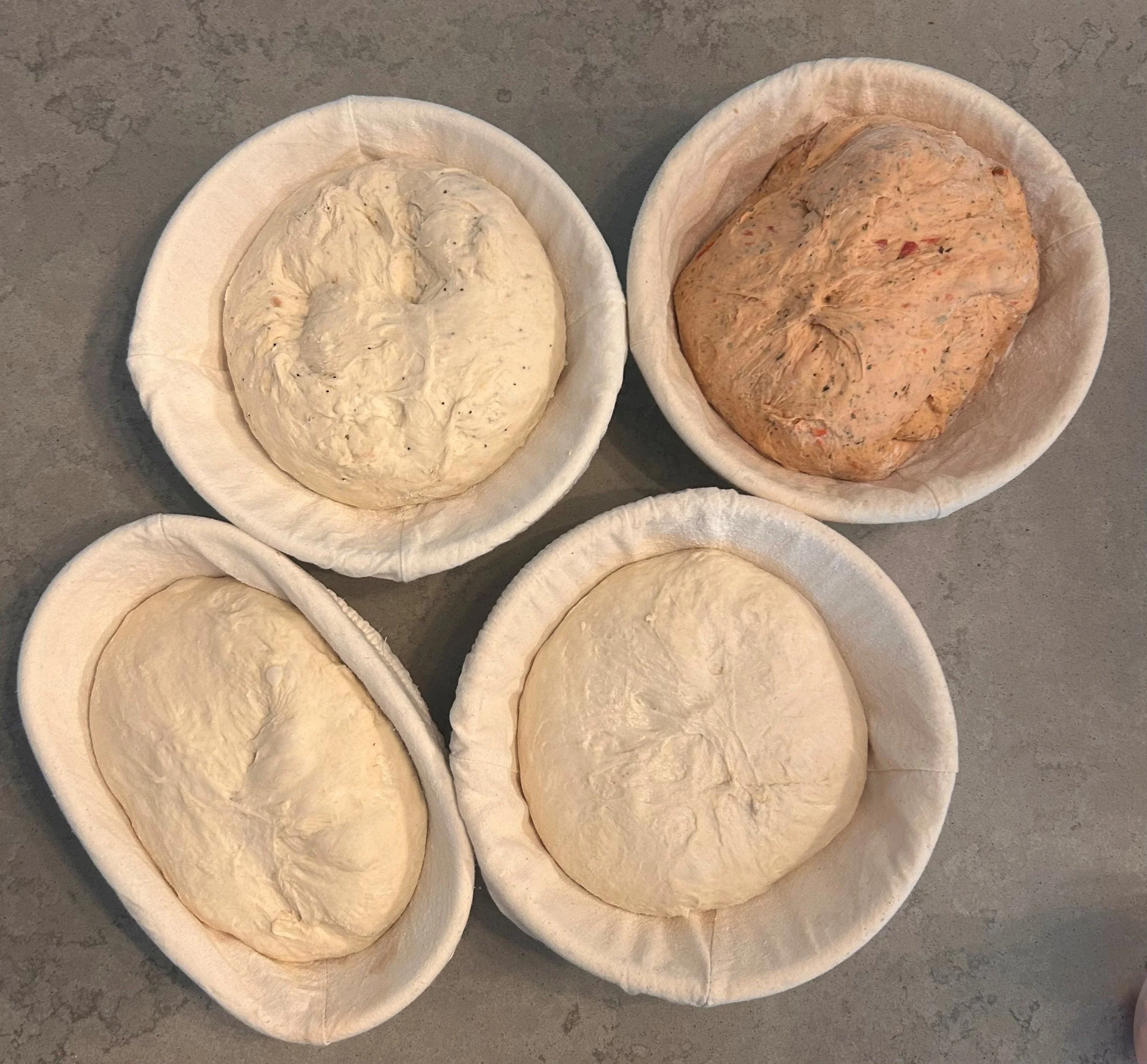 Sourdough before a bake...