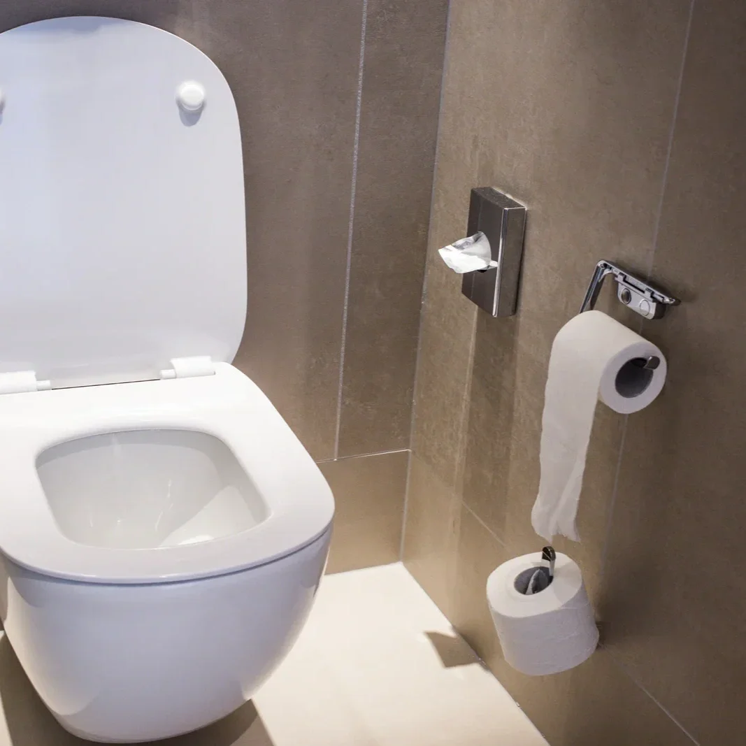 Toilet Installation: The Only Time Sitting Down on the Job Is Encouraged