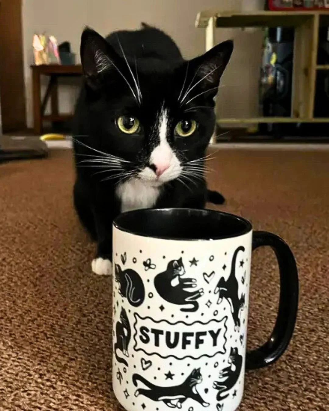 Tuxedo cats hold a very special place in my heart 🖤 I adore this photo from a customer with their custom tuxedo cat mug. Thank you for sharing!