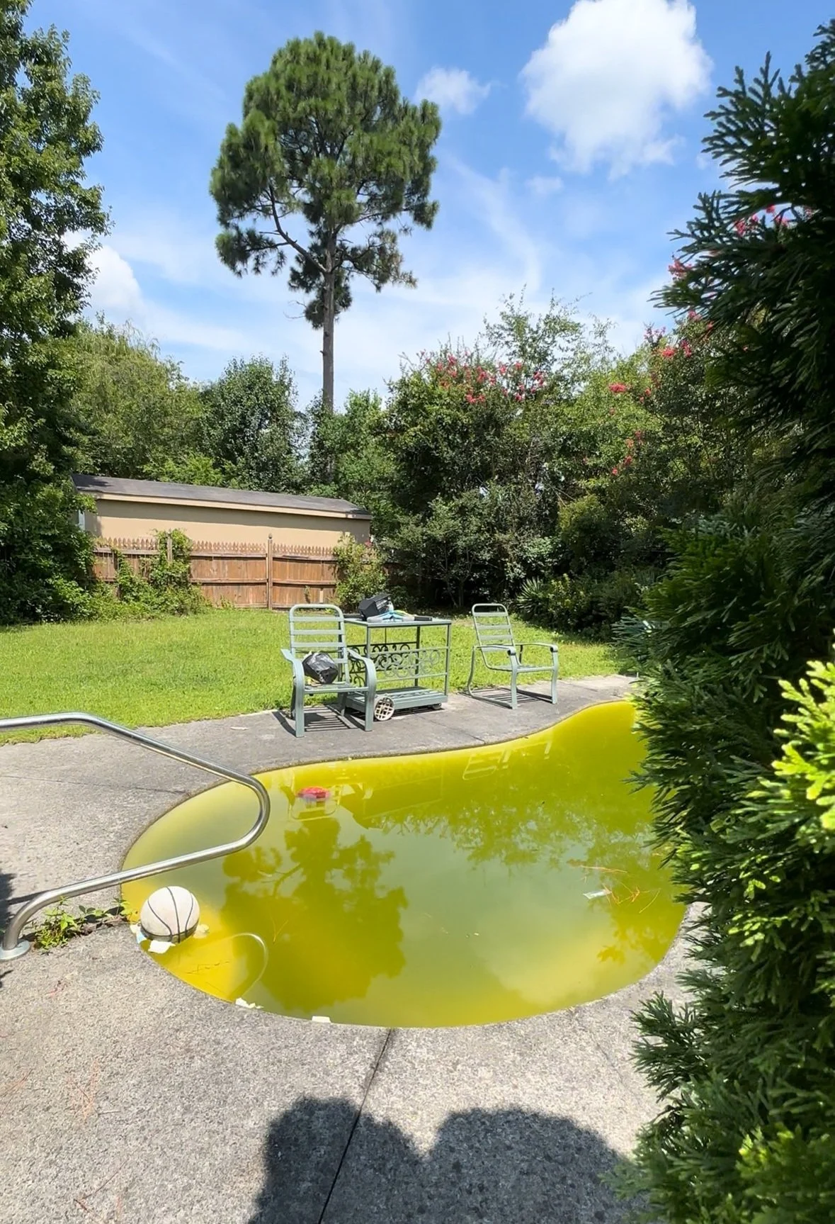 A backyard with a swimming pool filled with greenish water, surrounded by grass and trees. There are outdoor chairs and a small table on the patio, and a basketball is floating in the pool. Tall trees and bushes are in the background under a blue sky