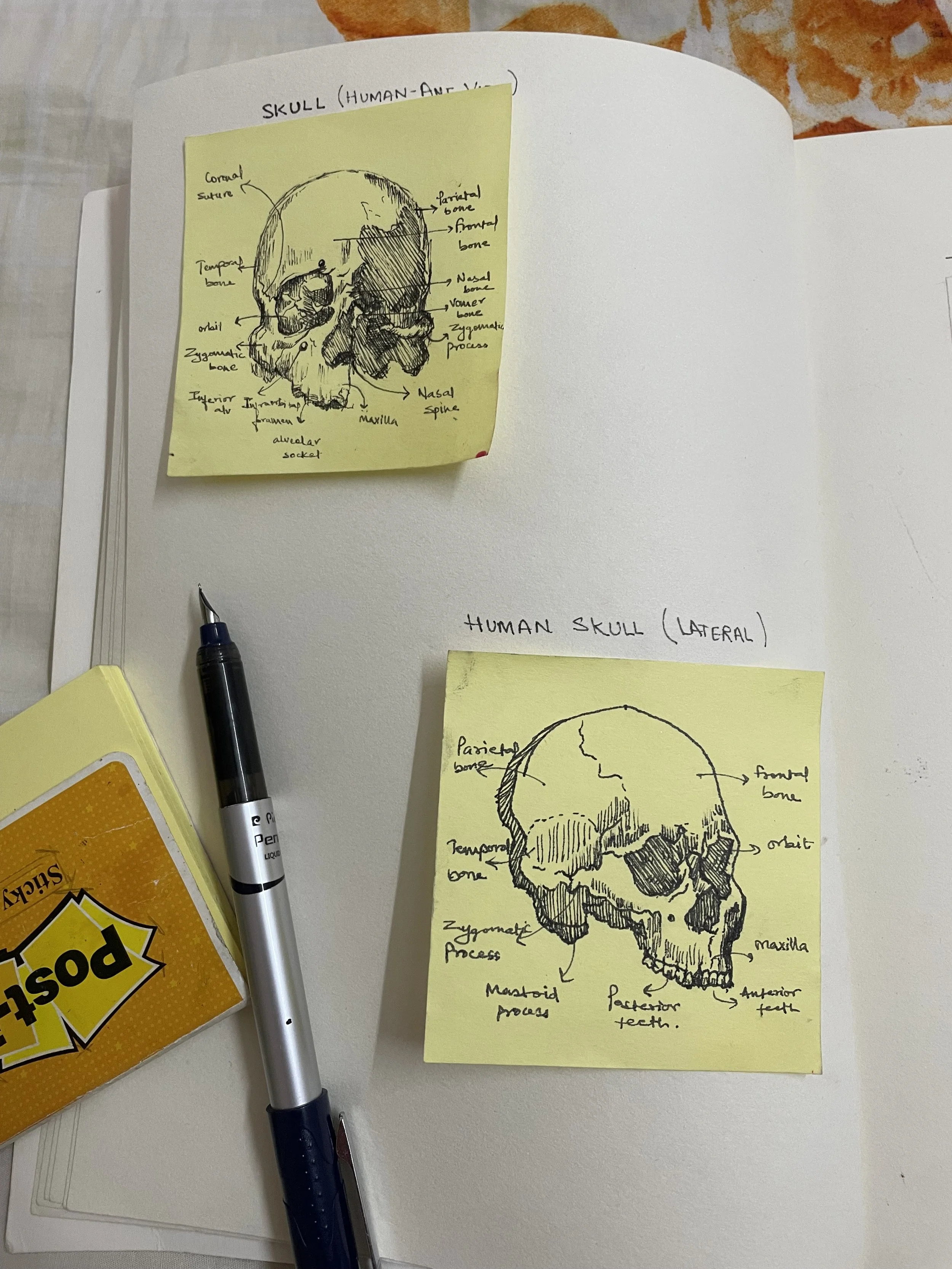 Image from lufishco via Gmail (4).jpeg