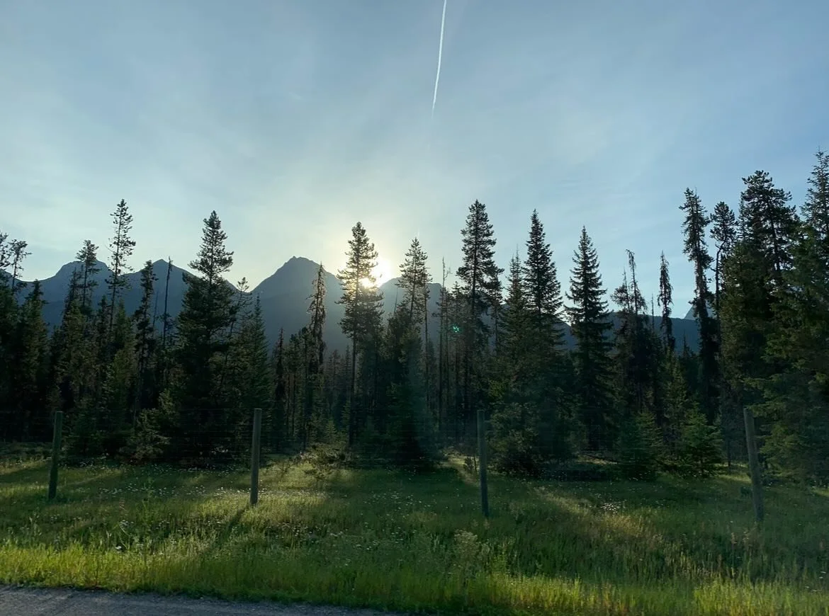 Craving the Canadian Rockies right about now 🍁