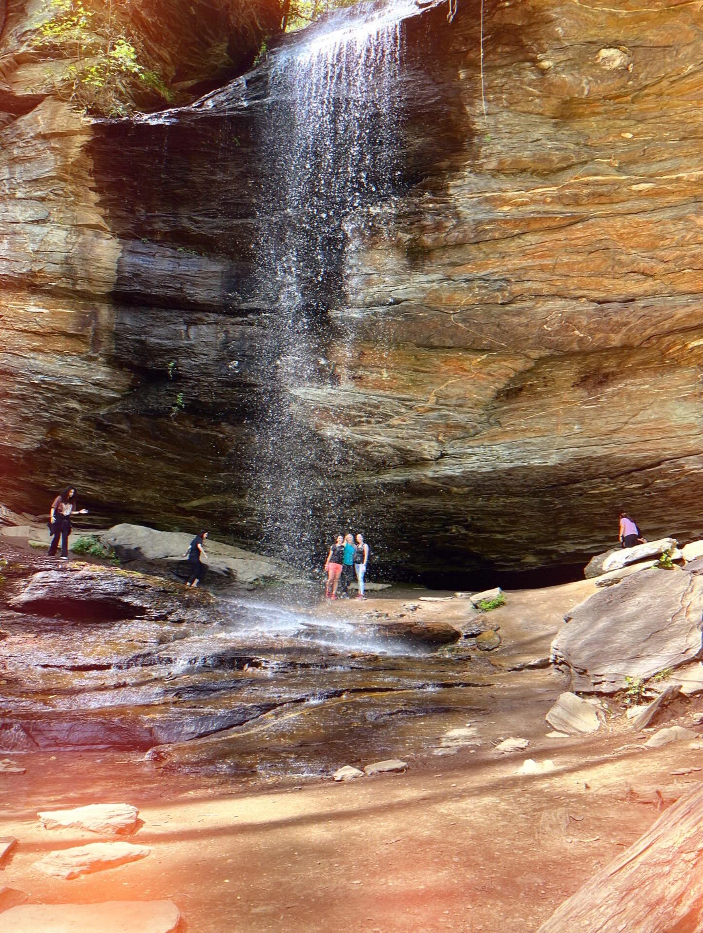 One of my favorite parts of this field is the people I get to collaborate with.

In both my role as Director of Wellness and in private practice, the work can be fairly siloed. Yet collaborating with students and my clients&rsquo; broader care teams 