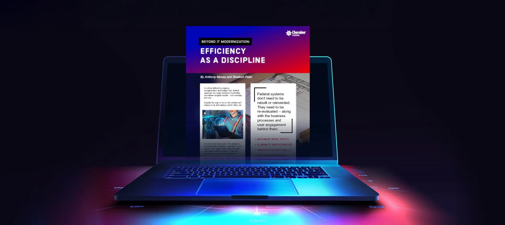 Beyond IT Modernization: Efficiency as a Discipline
