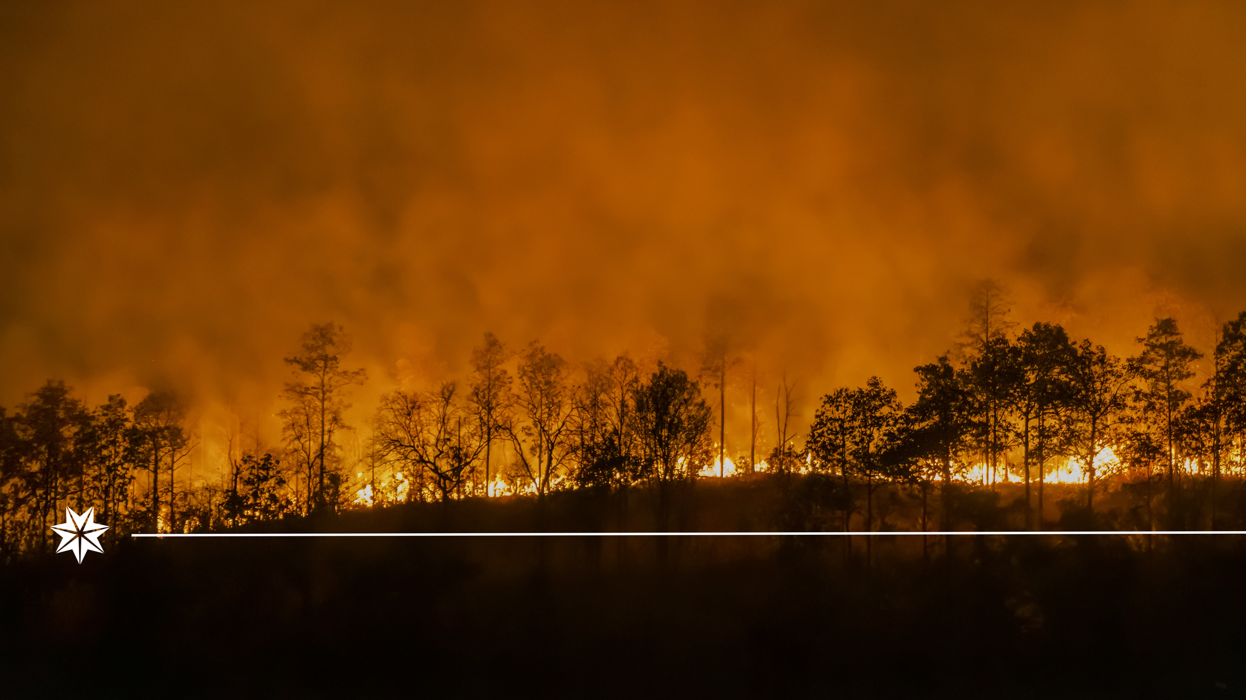 Coordinating Disaster Response Across Government