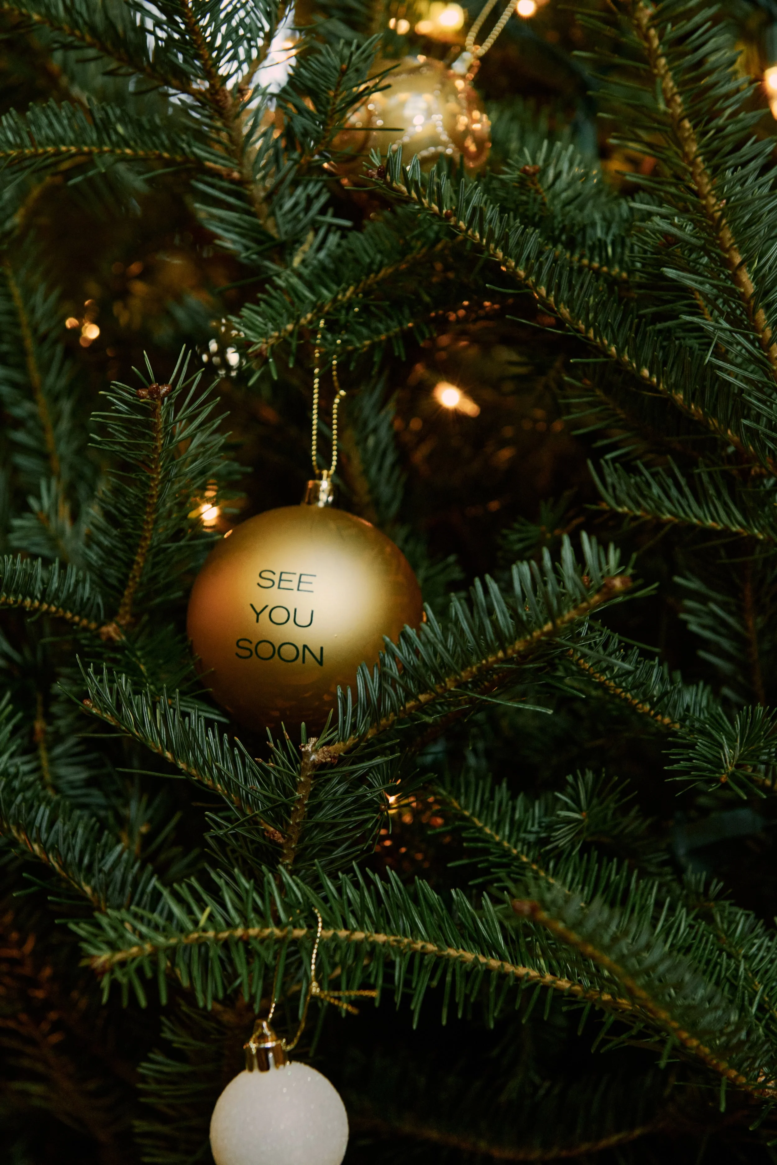 ANF_HOLIDAY_2_2024_CAMPAIGN_COZY_RUNNING_HOME_FOR_THE_HOLIDAYS_WOMENS_D2_LOOK5_512.jpeg