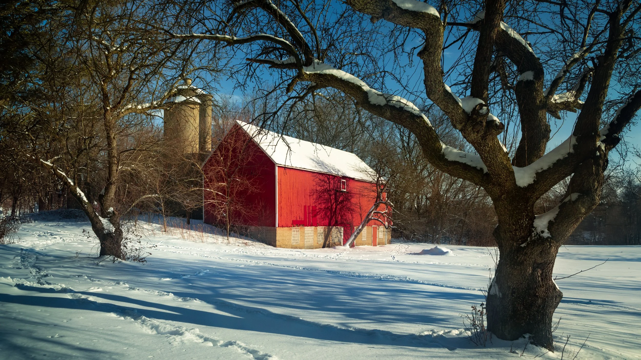  Old Red Barn in Whitnall Park 
   Photography By Drema  