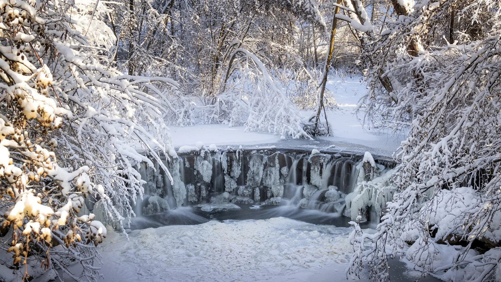  Fresh Snow in Whitnall Park 
   Photography By Drema  