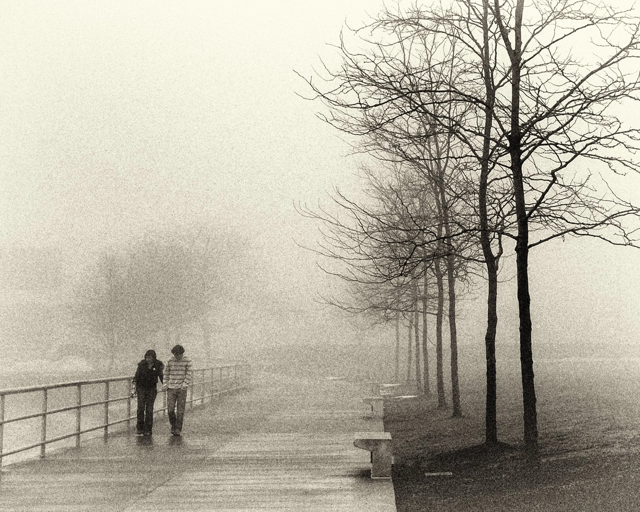 Digital B&W
  2nd Place 
  Alone Together  by  Timothy Kant 