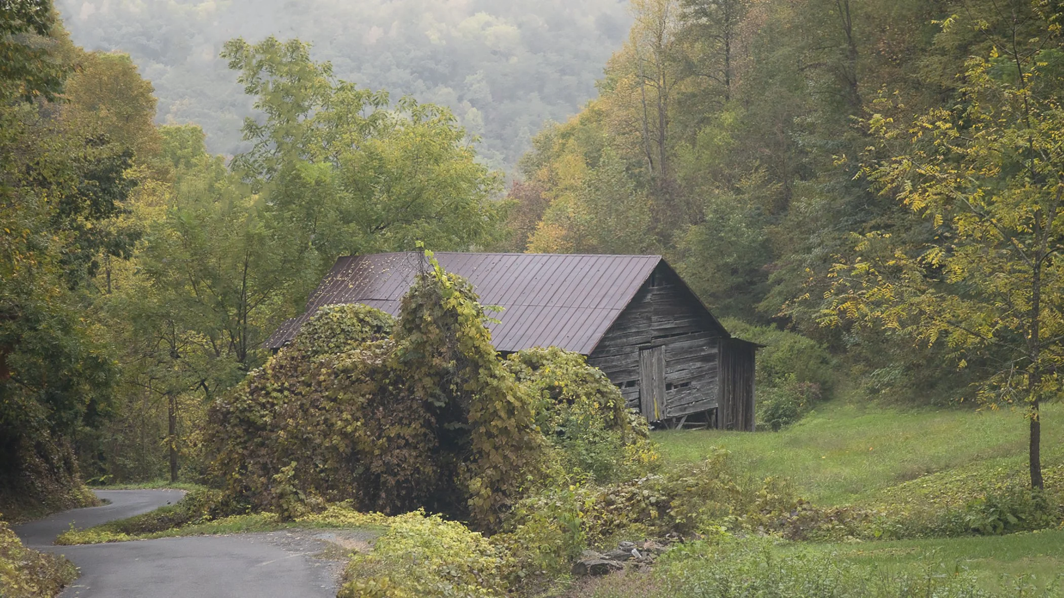  Misty Appalachia 