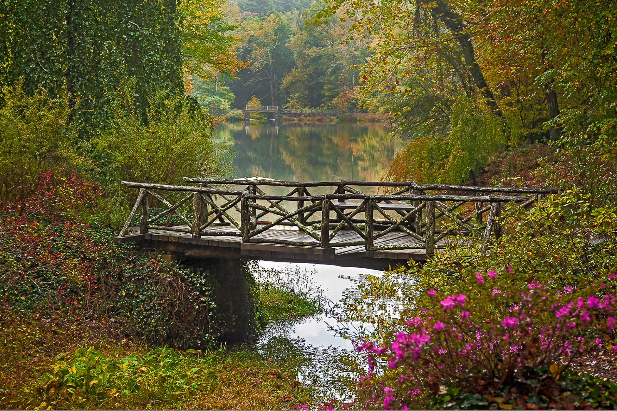 Wooden Bridge 