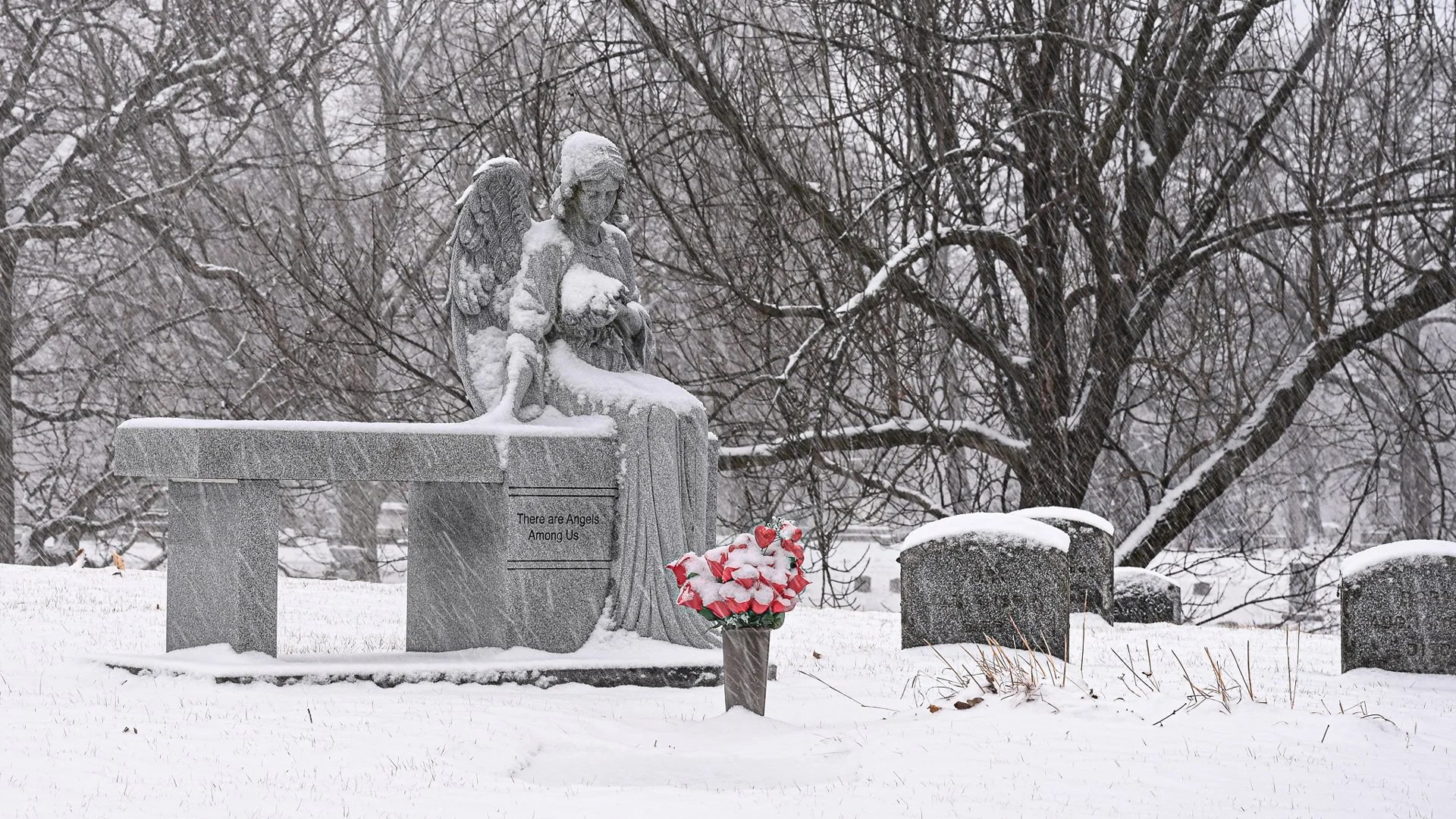 Snowy Angel by Greg Mews