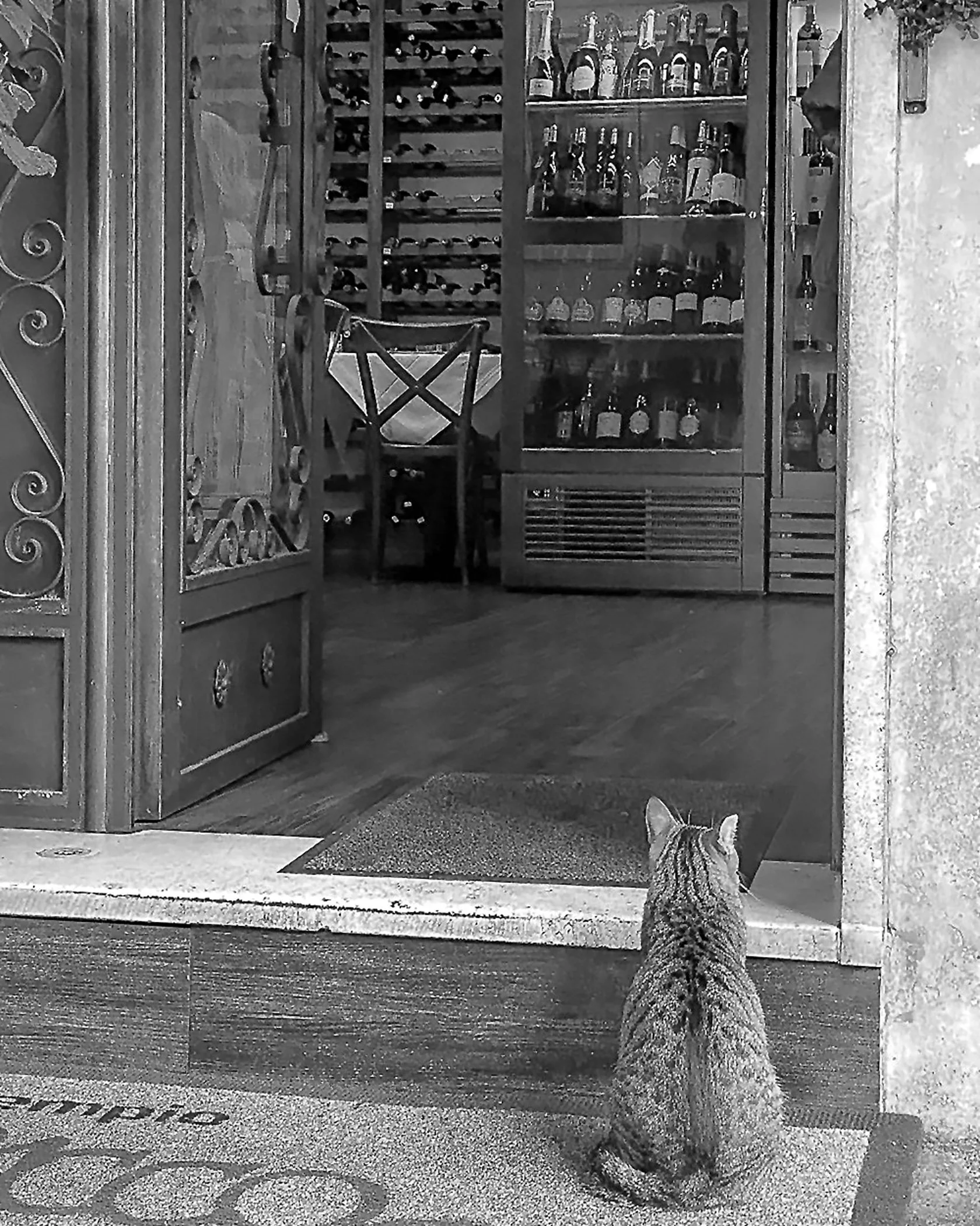  Determined Patience 