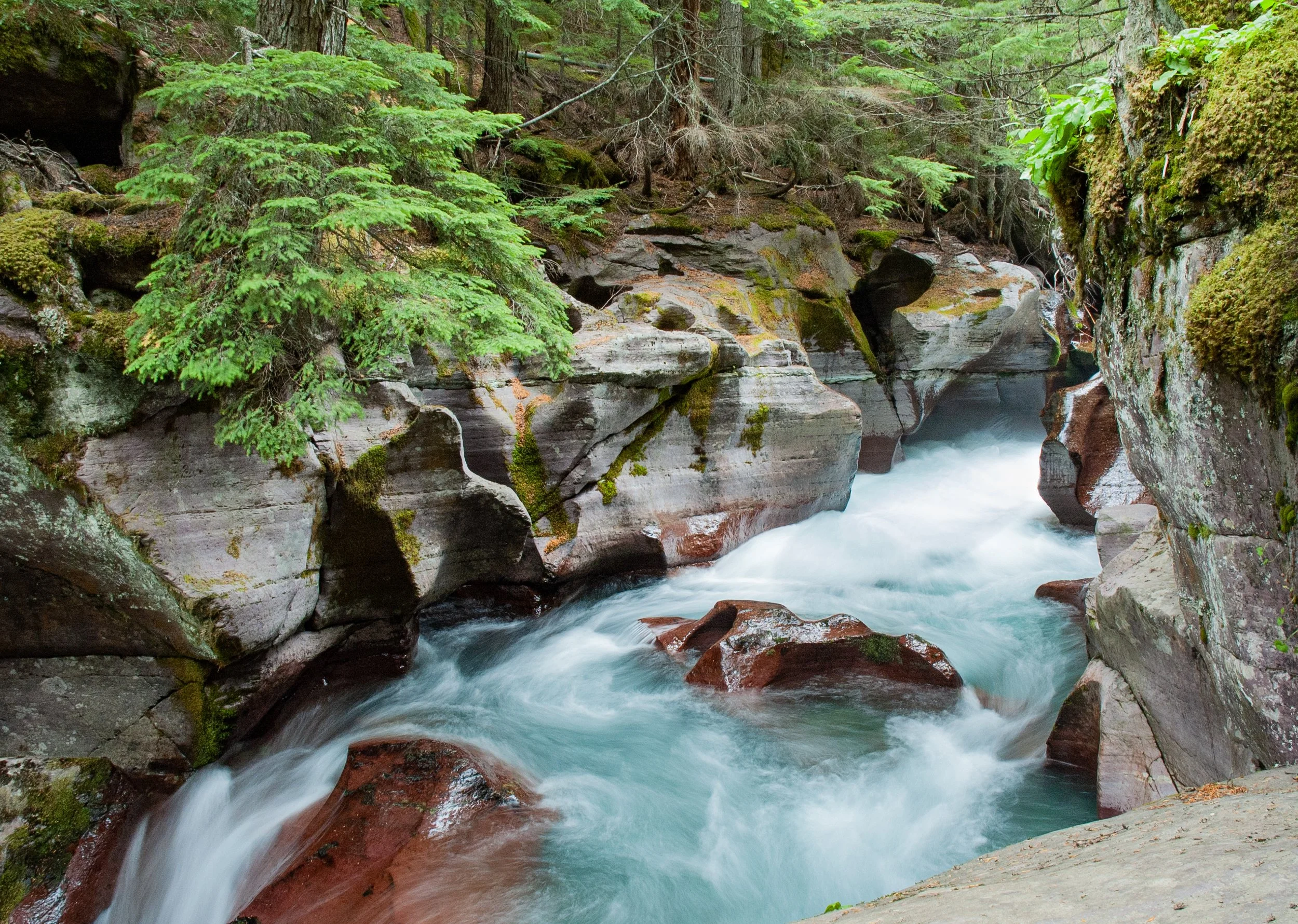  Avalanche Creek, Glacier National Park 