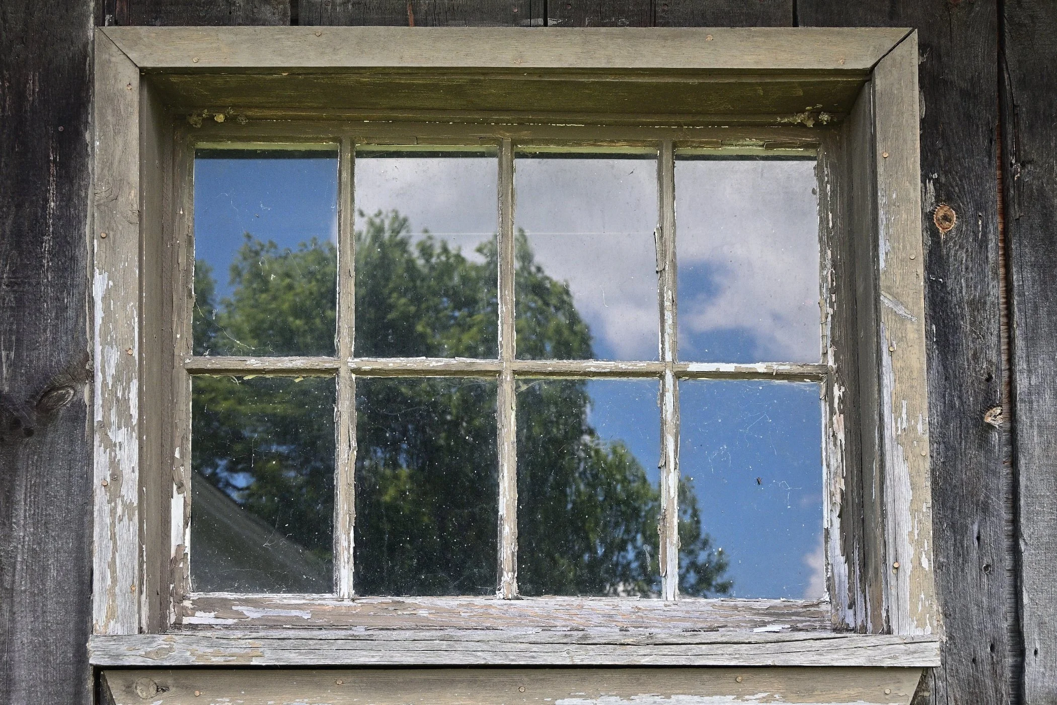  Reflection of a Summer Day 