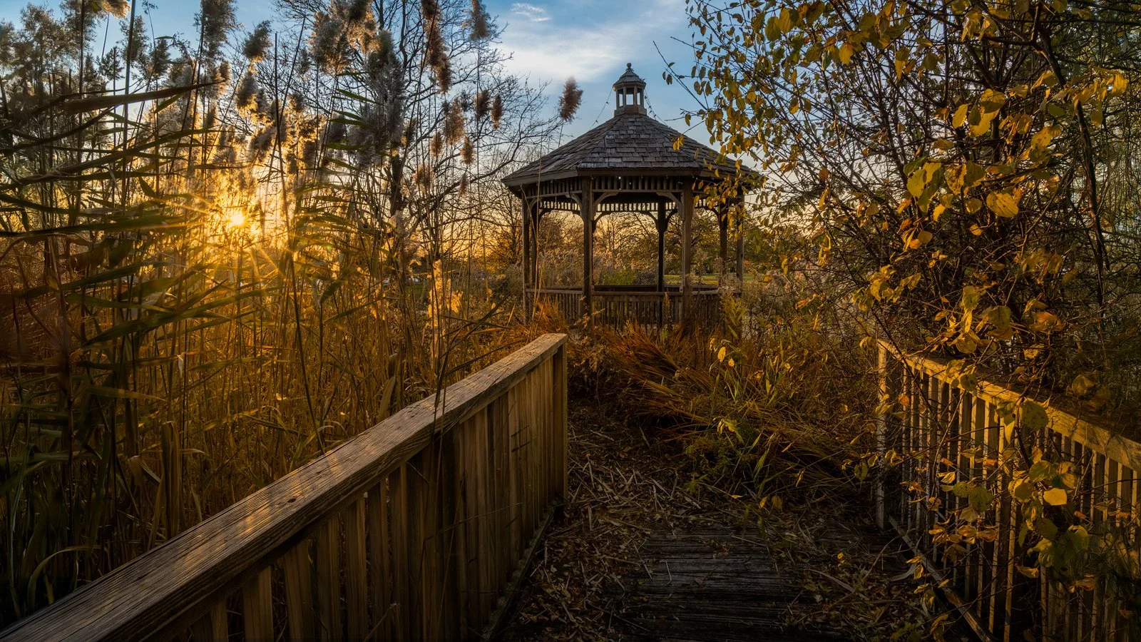 Print Color Open
  1st Place 
  Abandoned Gazebo  by  Drema Swader 