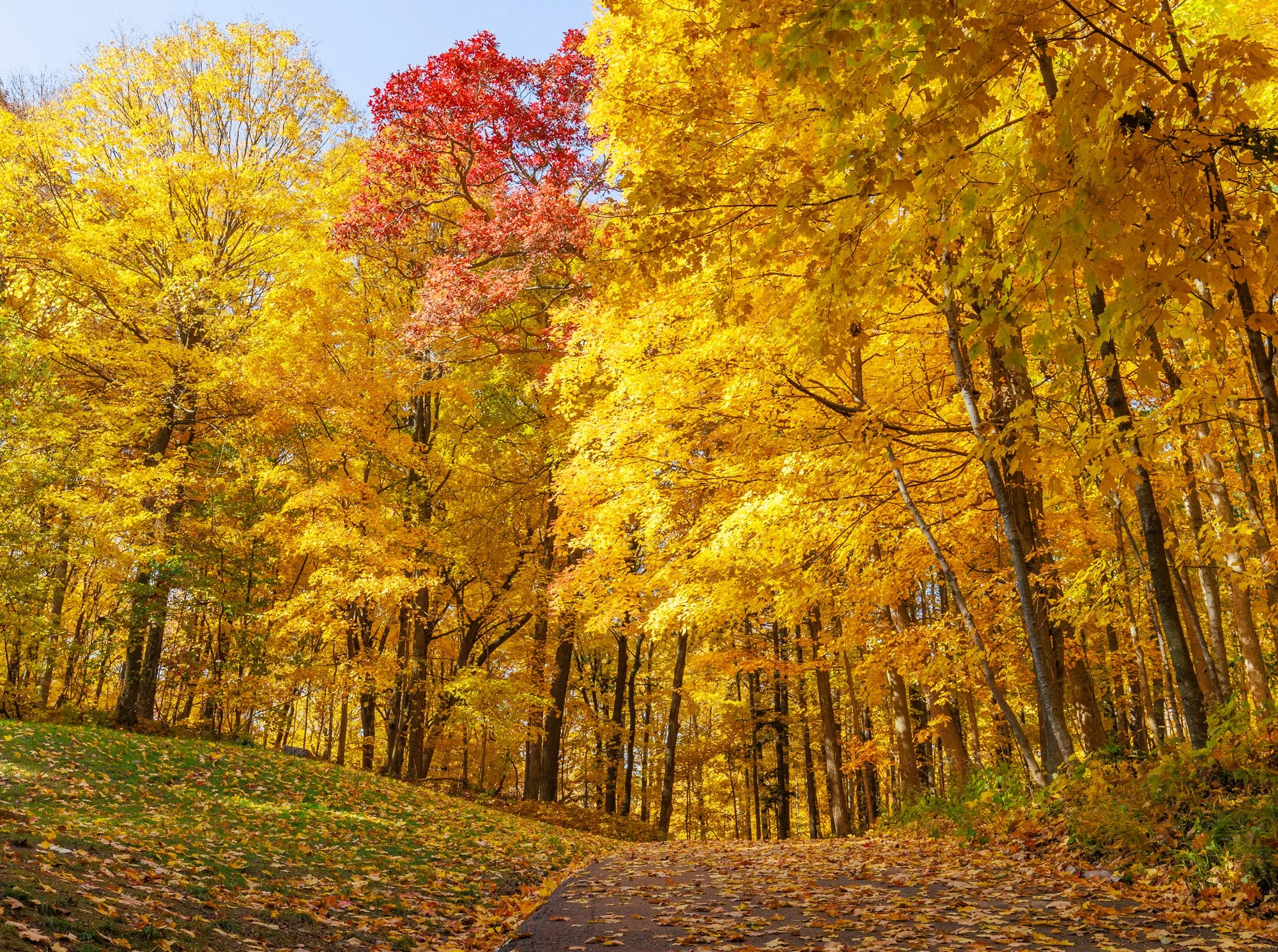  Holy Hill Fall Colors 