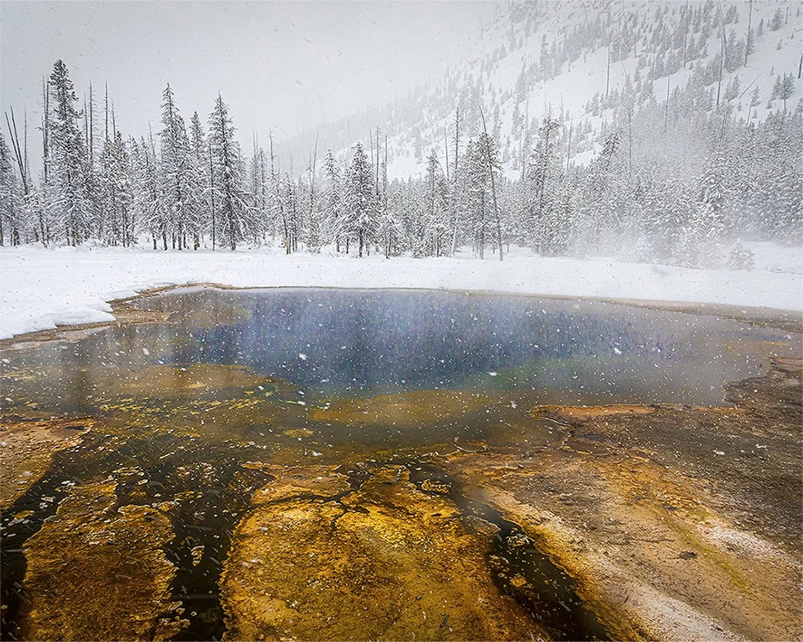 Digital Color Nature
  2nd Place  
  The Beauty of Yellowstone  by  Dee Dee Werner 