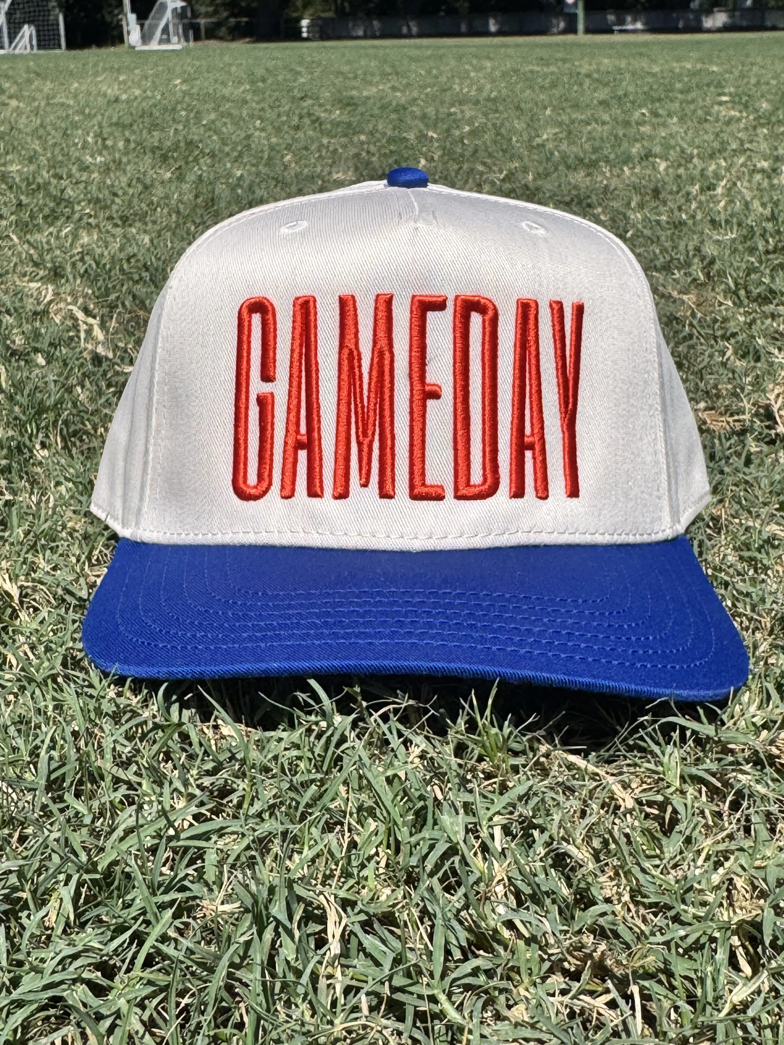Gameday Puff/3D Embroidered Hat