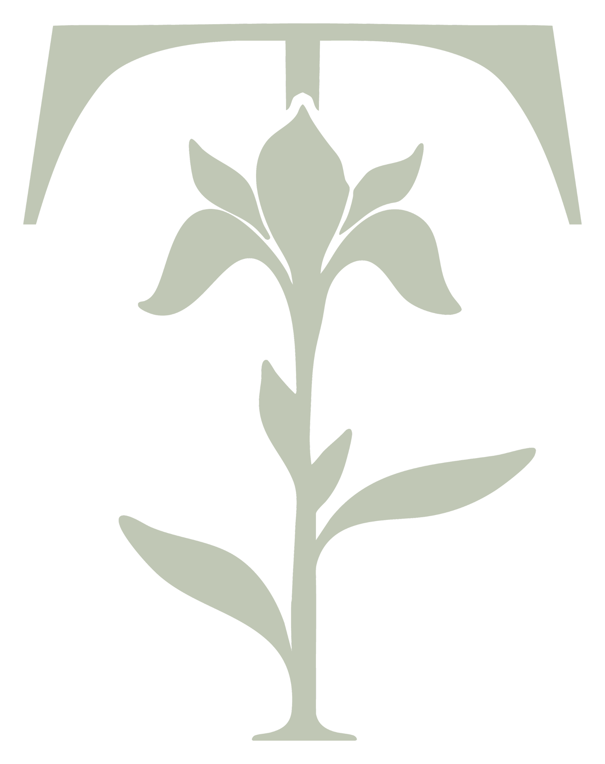 Stylized floral design with a lily flower and leaves in light gray on black background, enclosed in a frame. Micro-wedding planner in Western Colorado by Timeless Traditions