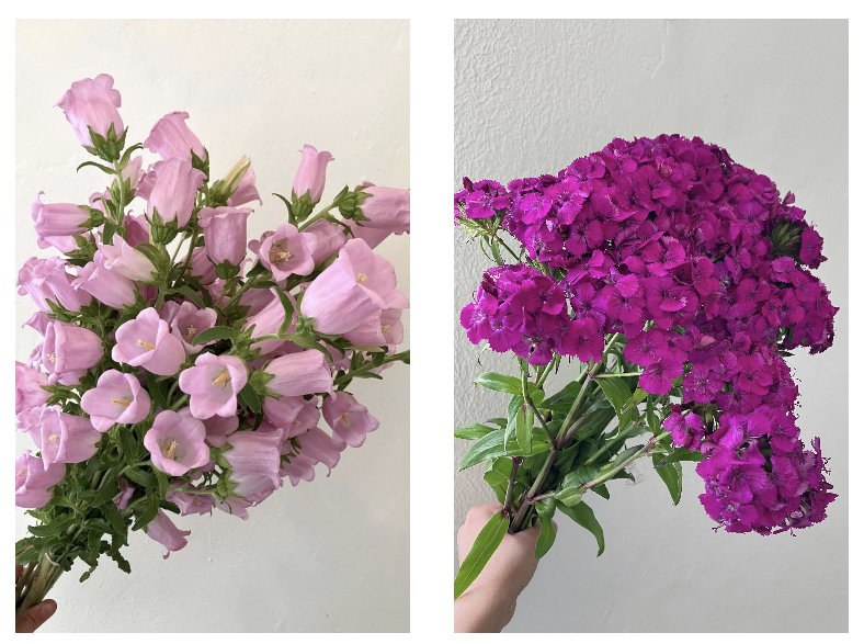 Screen Shot 2026-04-14 at 8.33.36 PM.png