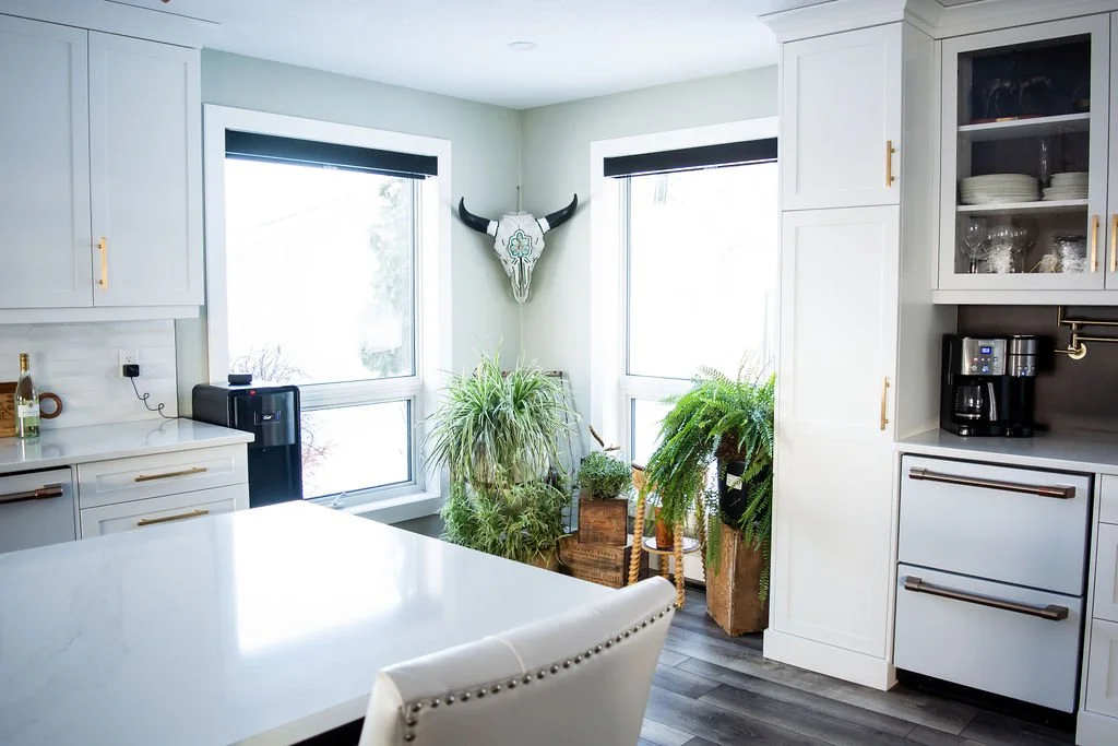 Kitchen with white cabinets, large windows, green plants in decorative planters, a skull with horns on the wall, and a coffee maker on the counter.