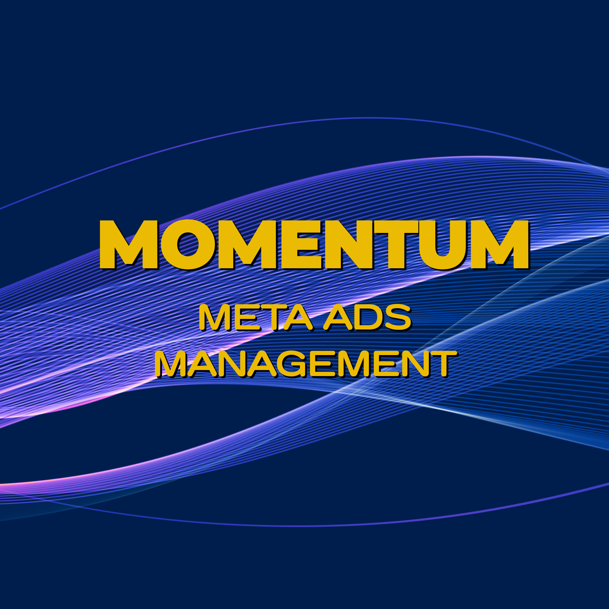 Meta Ads Management.png