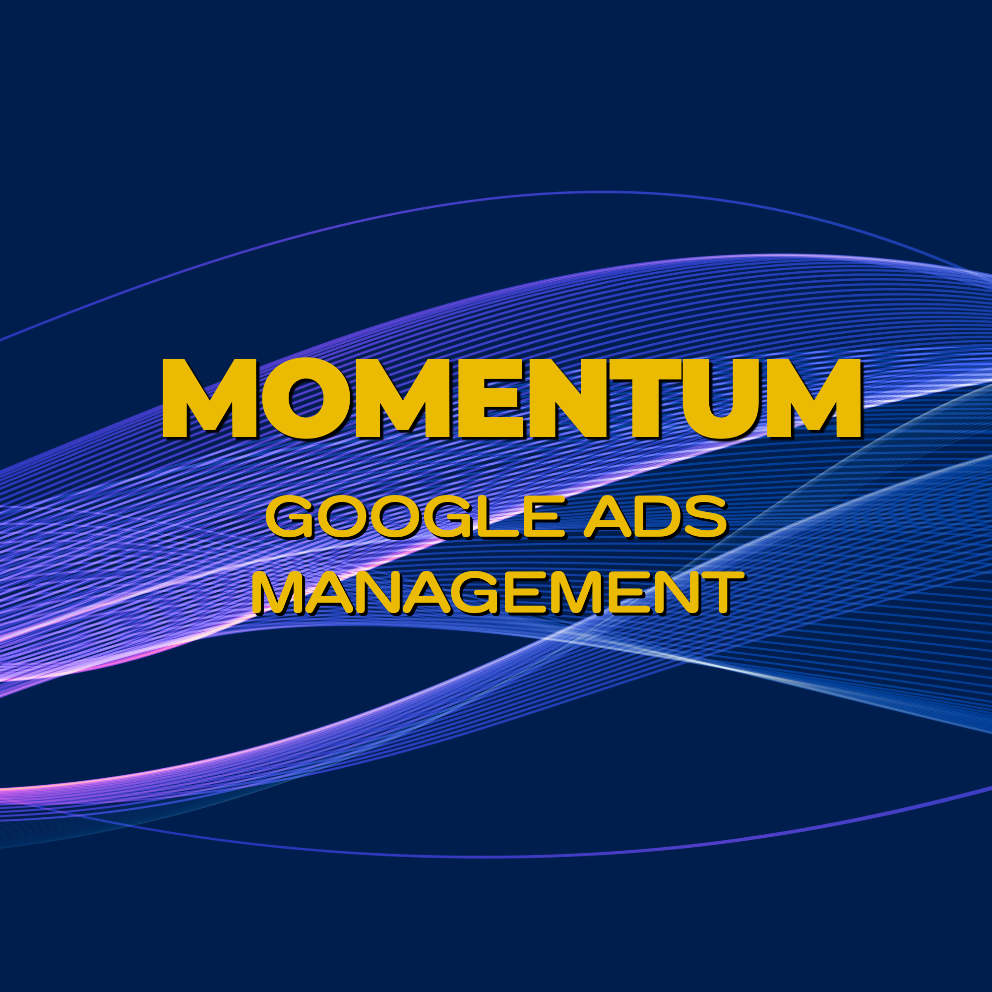Google Ads Management.png