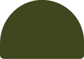 A dark green solid half circle.
