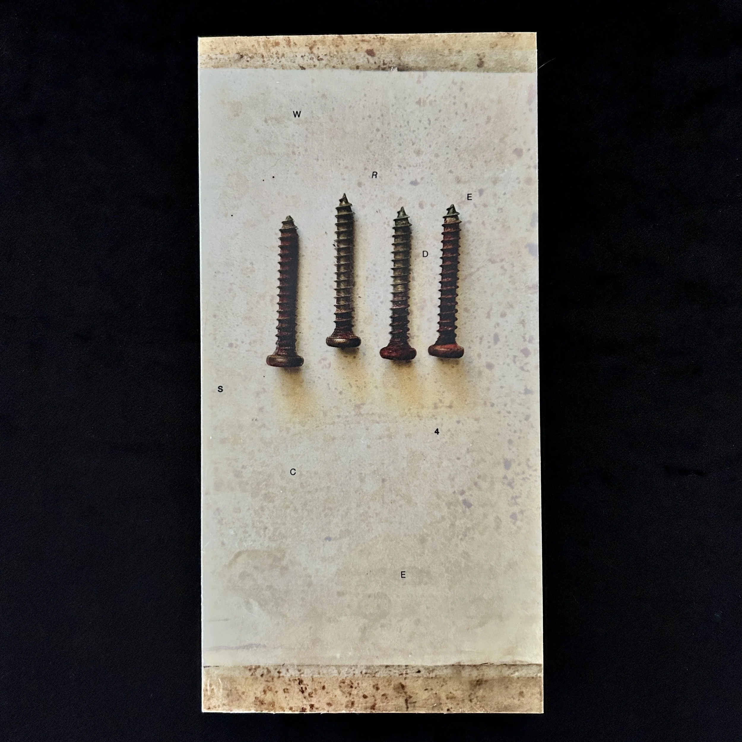 'Screwed Again', photo encaustic, 6x12", 2025 (sold)