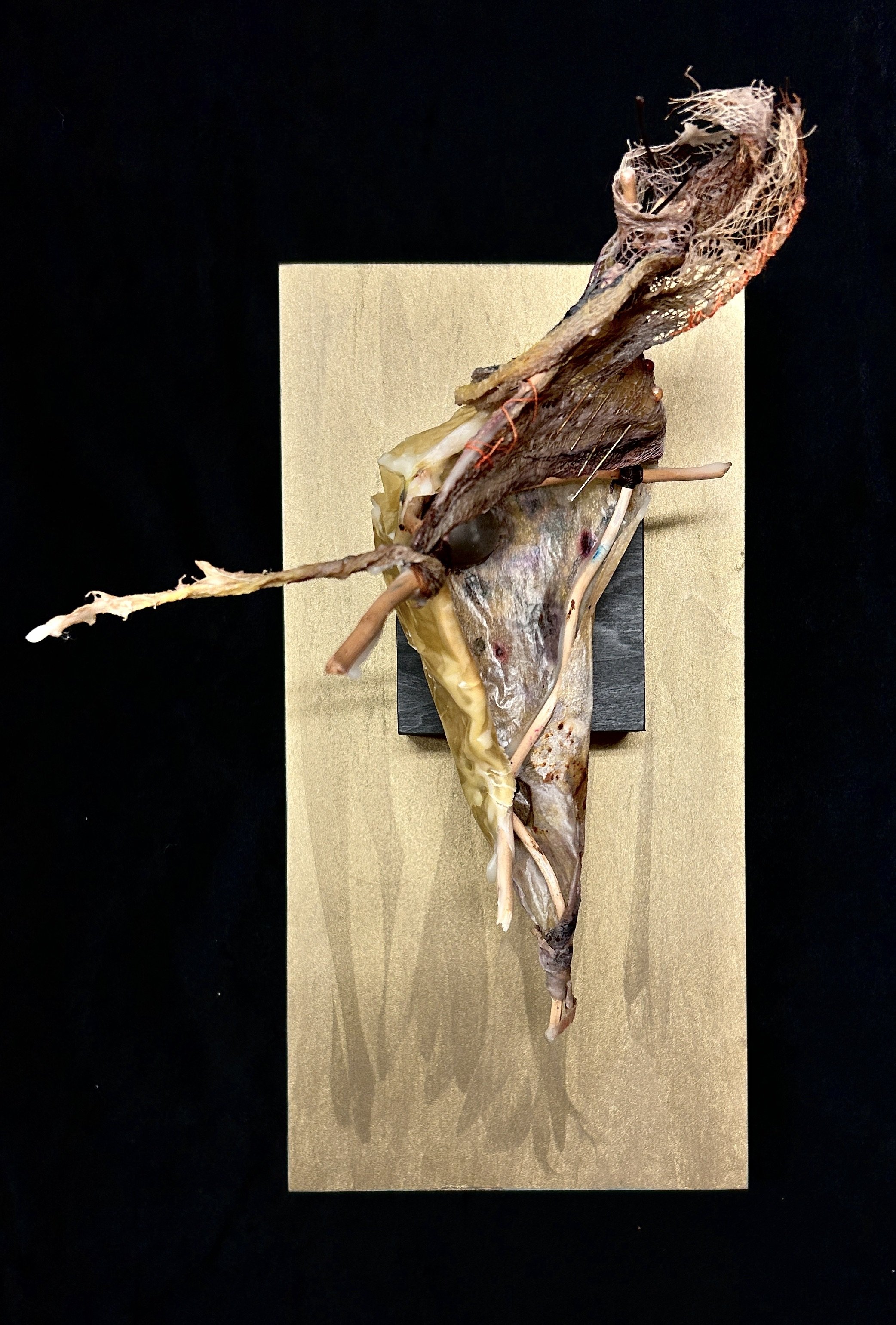 'Antiquity III', mixed media with encaustic mounted on cradled birch, 6x12", 2025