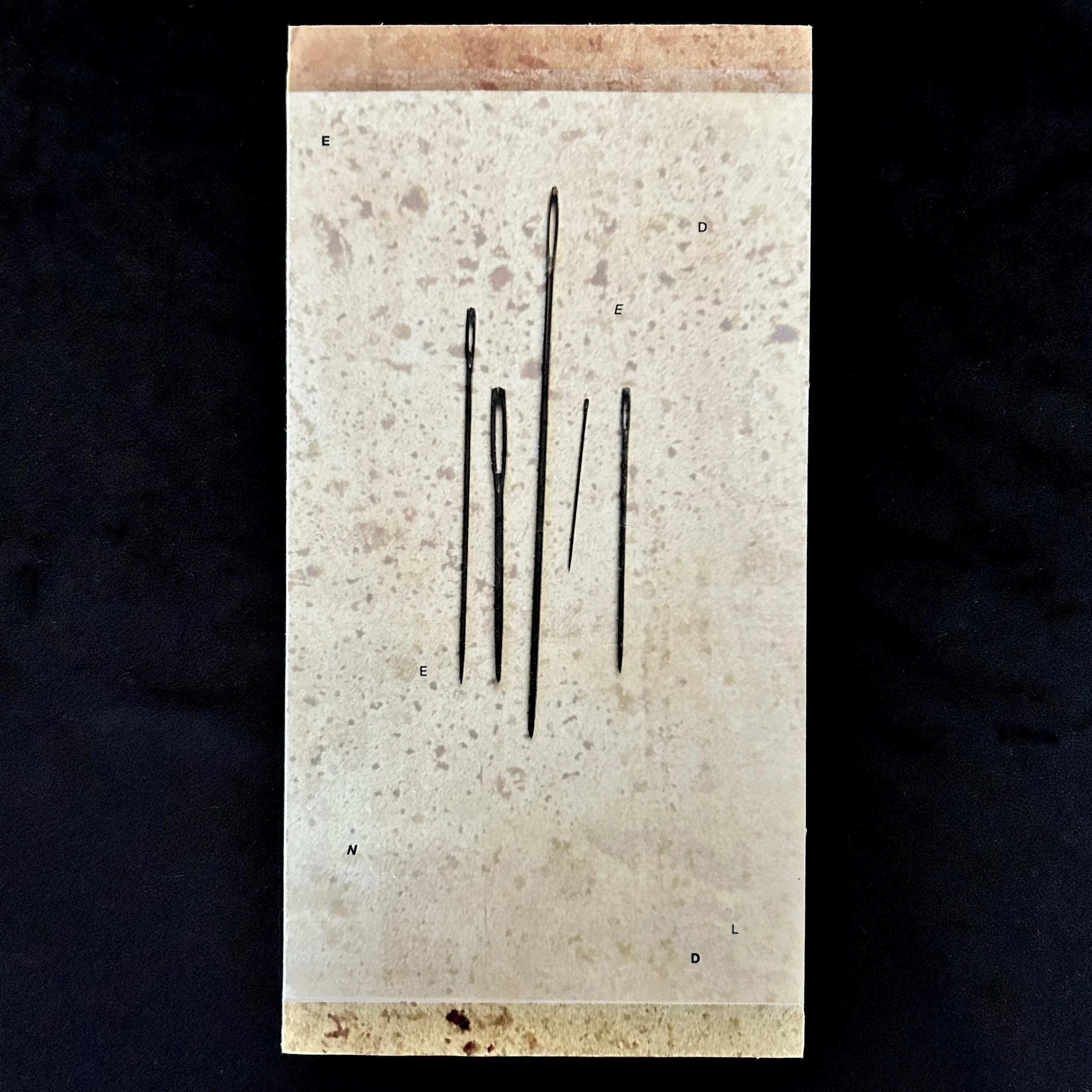 'Needled', photo encaustic, 6x12", 2025